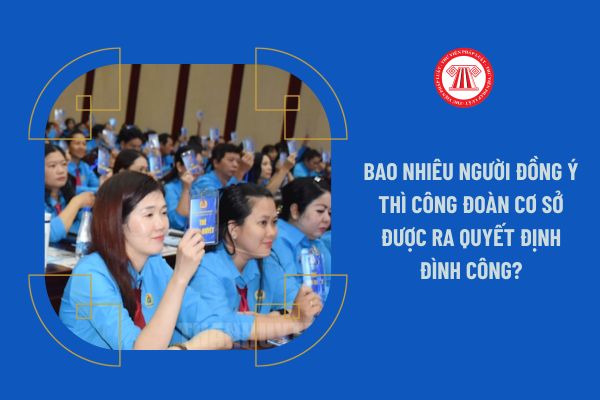 Bao nhiêu người đồng ý thì công đoàn cơ sở được ra quyết định đình công?