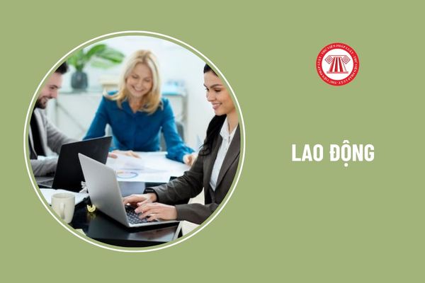 Người sử dụng lao động có sử dụng nhiều lao động nữ là gì?