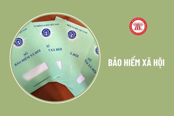 File Excel tính tiền BHXH 1 lần năm 2024 mới nhất mà người tham gia có thời gian đóng ít hơn 12 tháng như thế nào?