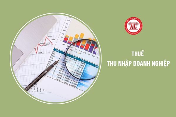 Các mốc thời gian tạm nộp thuế TNDN năm 2024 là khi nào?