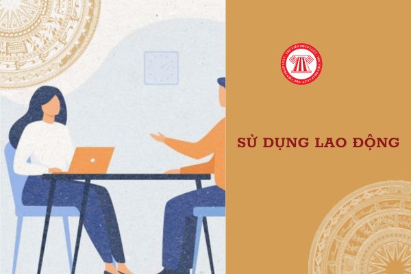 Muốn chuyển NLĐ sang làm việc không trọn thời gian có phải quy định trong phương án sử dụng lao động không?