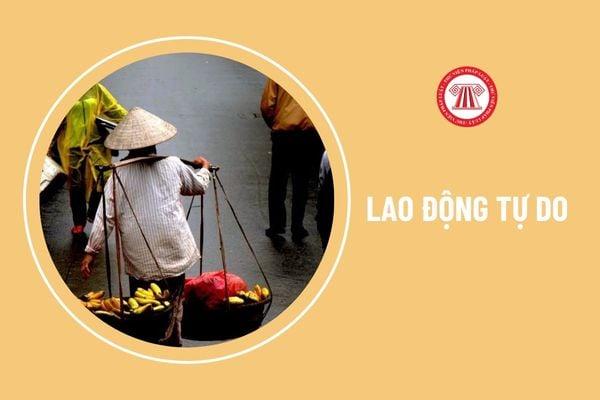 Lao động tự do được nhận lương hưu khi nào?