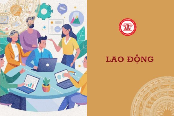 Sổ quản lý lao động có cần ghi thông tin học nghề, đào tạo của người lao động không?