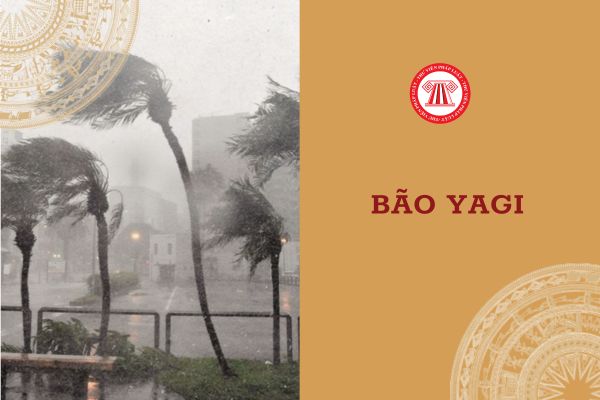 Siêu bão YAGI ảnh hưởng vào các tỉnh nào? Người lao động ở tỉnh thành đó có được nghỉ làm không?