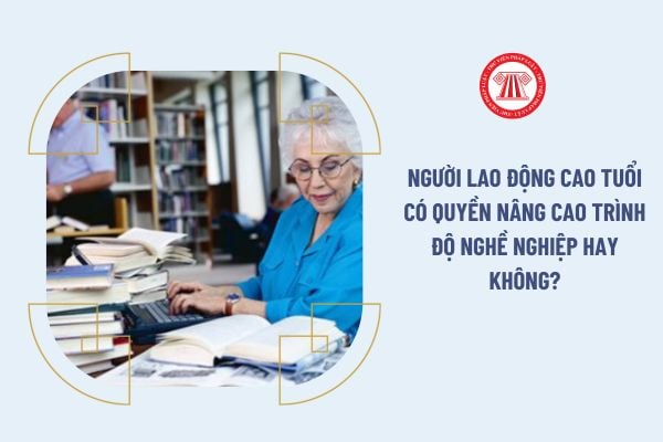 Người lao động cao tuổi có quyền nâng cao trình độ nghề nghiệp hay không?