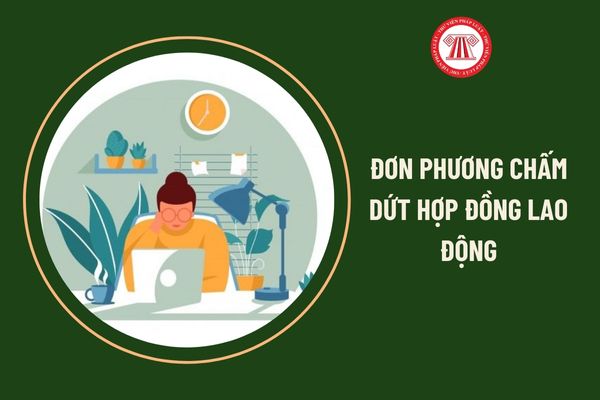 Công ty cung cấp thông tin gian dối người lao động nghỉ ngang có đúng luật không?