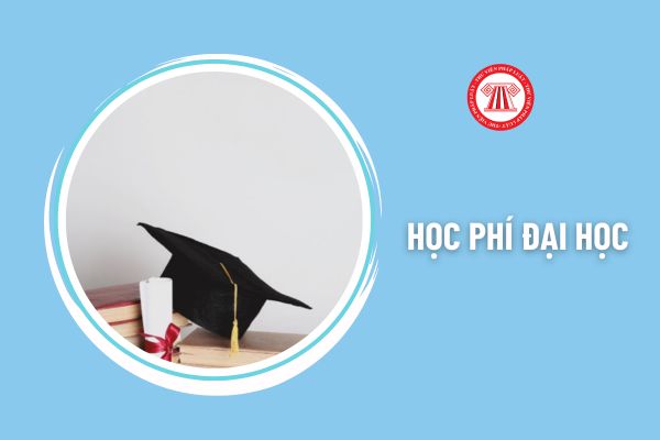 Mức học phí đại học năm học 2024-2025 hệ chính quy của các trường công lập là bao nhiêu? Sinh viên mới ra trường sẽ được trả mức lương bao nhiêu?