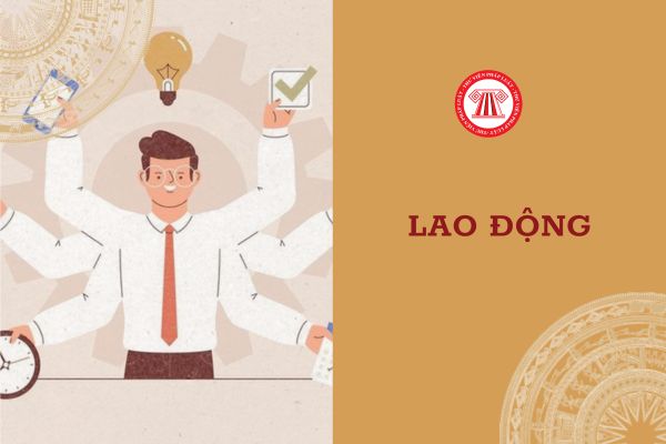 Khi có sai sót trong quá trình thu thập thông tin về cầu lao động thì ai có trách nhiệm chỉnh sửa?