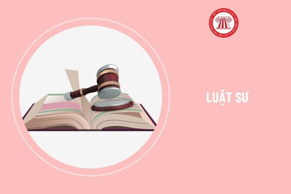 Hiện nay có mấy cơ sở đào tạo nghề luật sư tại Việt Nam? 