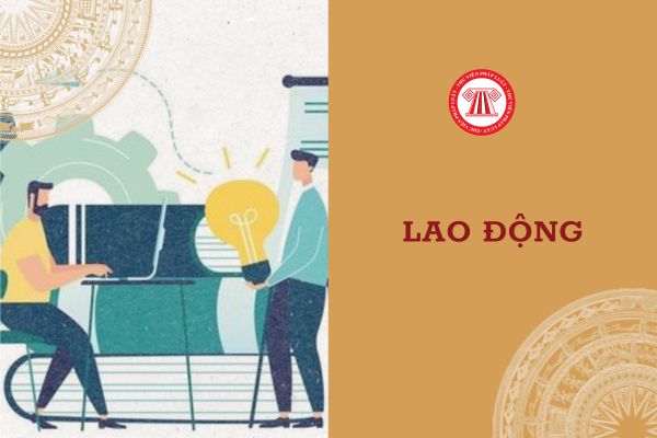 Thu thập thông tin người lao động nước ngoài làm việc tại Việt Nam cần thông tin gì?