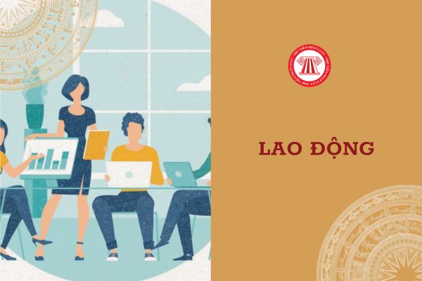 Thông tin thị trường lao động được chia sẻ ở đâu?