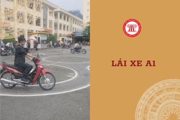 Đề thi bằng lái xe A1 gồm có những phần gì? Người lái xe A1 có cần mẫu giấy khám sức khỏe  Phụ lục số 02 Thông tư liên tịch 24 hay không?