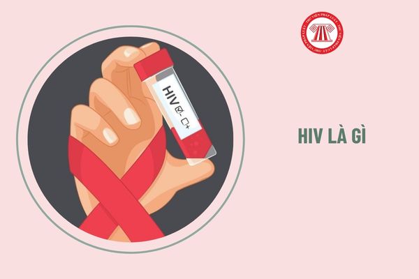 HIV là gì? Công ty có được cho người lao động bị nhiễm HIV thôi việc hay không?