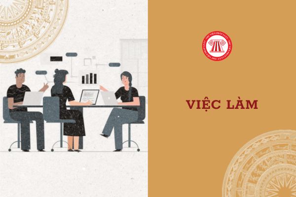 03 Nguyên tắc về việc làm theo Luật Việc làm mới nhất là gì?