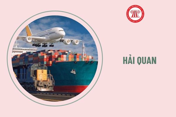 Có những hình thức thi cấp Chứng chỉ nghiệp vụ khai hải quan nào?