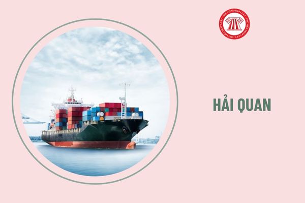 Thi cấp chứng chỉ nghiệp vụ khai hải quan chỉ được sử dụng bút mực màu gì?