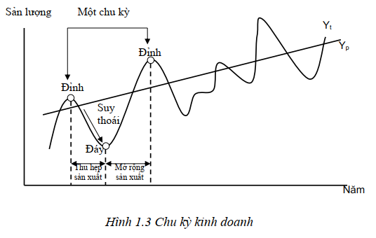 chu kỳ