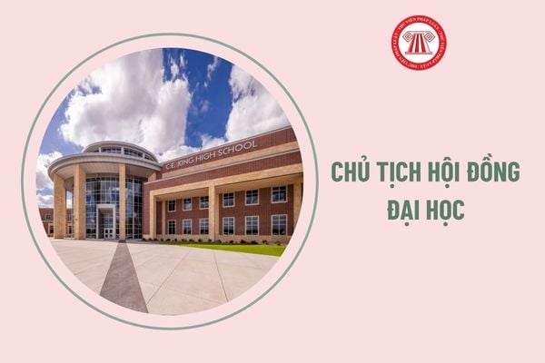 Chủ tịch hội đồng đại học theo Thông tư 04/2024/TT-BGDĐT cần có chứng chỉ gì?