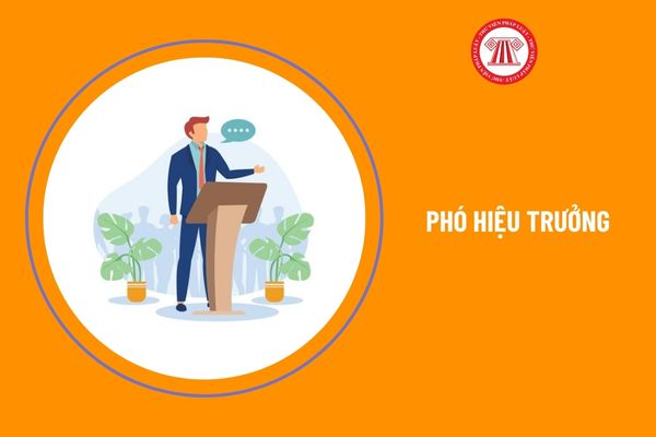 Ai có thẩm quyền bổ nhiệm phó hiệu trưởng trường trung học?