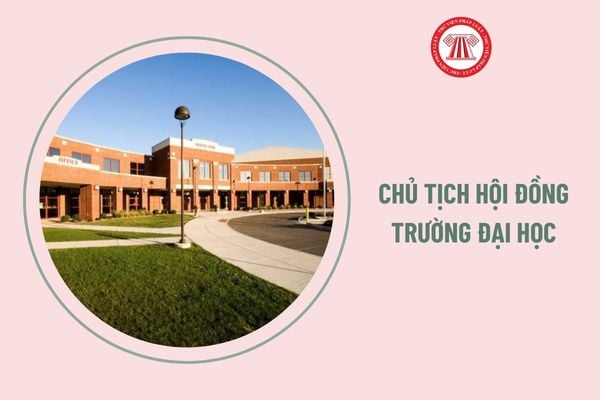 Chủ tịch hội đồng trường đại học trong cơ sở giáo dục công lập cần trình độ đào tạo ra sao?