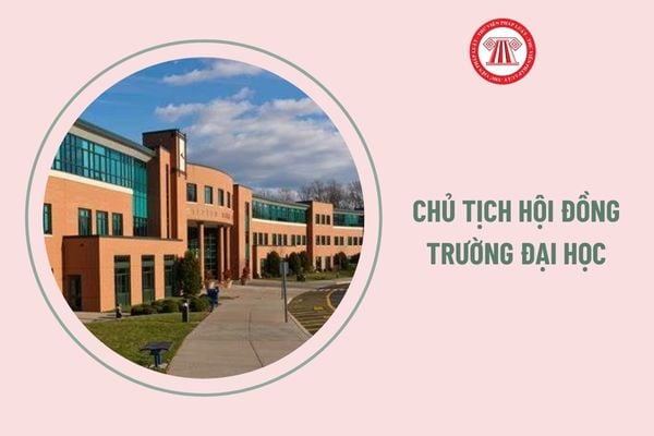 Yêu cầu năng lực đối với chủ tịch hội đồng trường đại học trong cơ sở giáo dục công lập là gì?