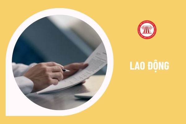 Có cần ghi danh sách người lao động nghỉ hưu trong phương án sử dụng lao động không?