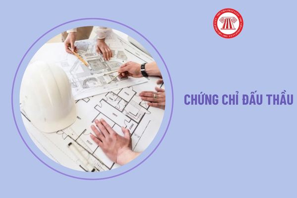 Ai được cấp chứng chỉ nghiệp vụ chuyên môn về đấu thầu theo Thông tư 02/2024/TT-BKHĐT?