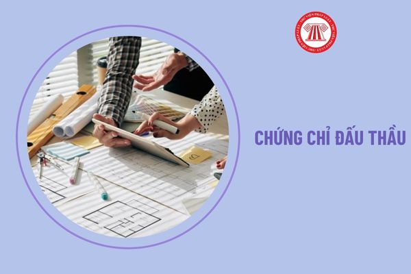 Chứng chỉ nghiệp vụ chuyên môn về đấu thầu bị thu hồi trong trường hợp nào?