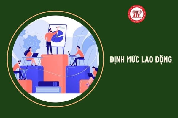 Định mức lao động của công ty có phải công khai không?