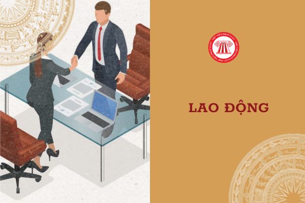 Sử dụng lao động chưa qua đào tạo có vi phạm pháp luật?