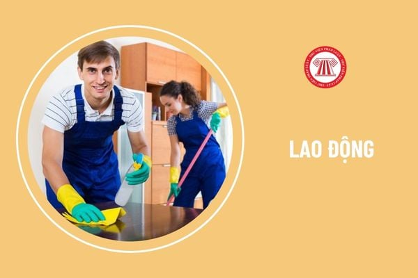 Người giúp việc gia đình làm những công việc gì?