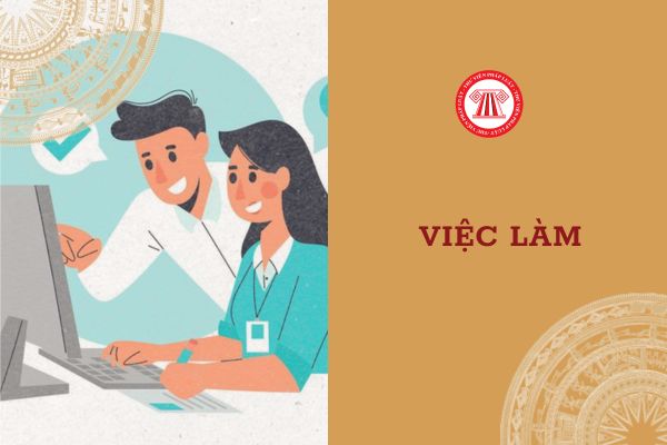 Trung tâm dịch vụ việc làm là đơn vị sự nghiệp công lập là những trung tâm nào?