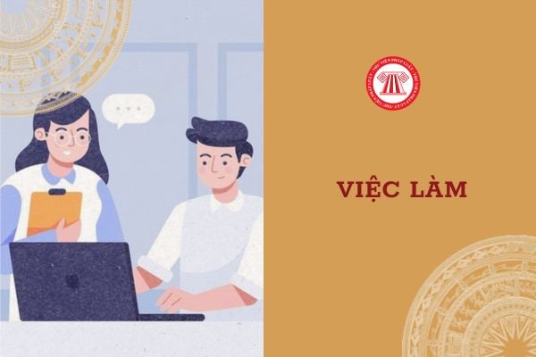 Ngoài cung ứng và tuyển lao động trung tâm dịch vụ việc làm còn nhiệm vụ nào khác không?