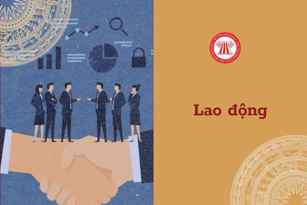 Hòa giải viên lao động có trình độ cao đẳng có được không?