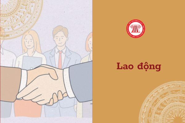 Công ty có nghĩa vụ xây dựng các giải pháp phòng, chống quấy rối tình dục tại nơi làm việc hay không?