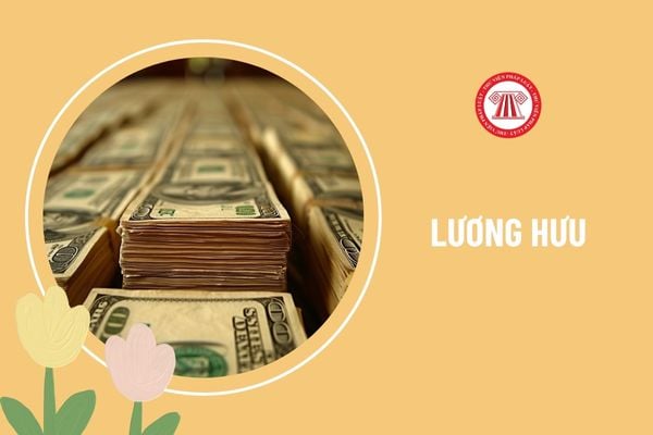 Mức hưởng lương hưu khi cải cách chính sách BHXH cần thu hẹp khoảng cách giữa người có mức lương cao và lương thấp phải không?