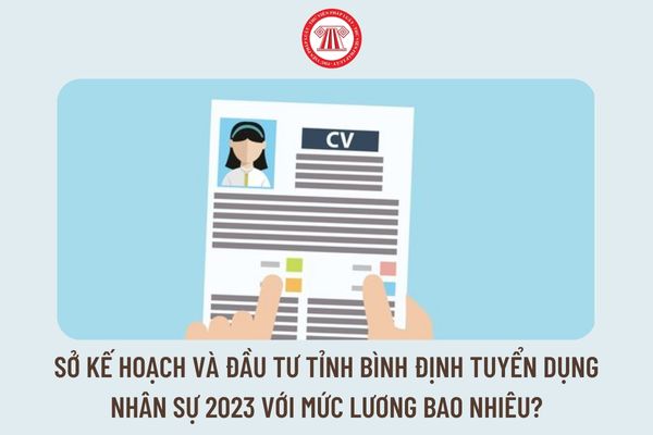 Sở Kế hoạch và Đầu tư tỉnh Bình Định tuyển dụng nhân sự 2023 với mức lương bao nhiêu?