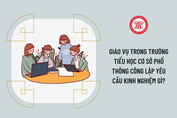 Giáo vụ trong trường tiểu học cơ sở phổ thông công lập yêu cầu kinh nghiệm gì?