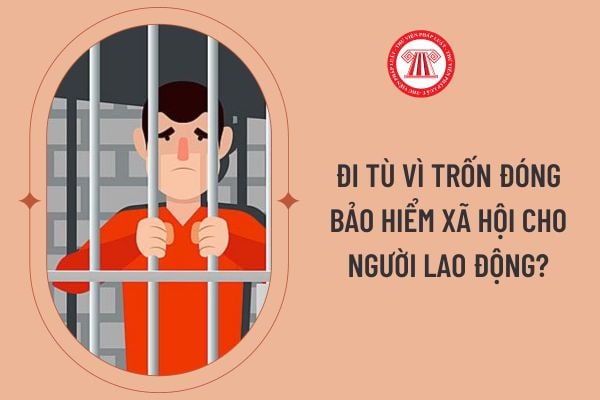 Đi tù vì trốn đóng bảo hiểm xã hội cho người lao động?