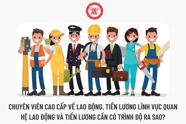 Chuyên viên cao cấp về lao động, tiền lương lĩnh vực quan hệ lao động và tiền lương cần có trình độ ra sao?