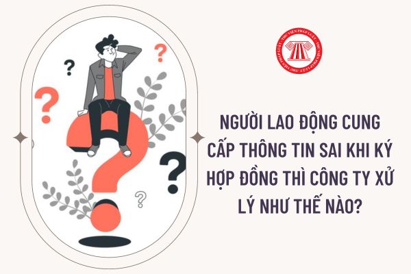 Người lao động cung cấp thông tin sai khi ký hợp đồng thì công ty xử lý như thế nào?