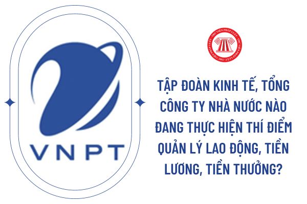 Tập đoàn kinh tế, tổng công ty nhà nước nào đang thực hiện thí điểm quản lý lao động, tiền lương, tiền thưởng?