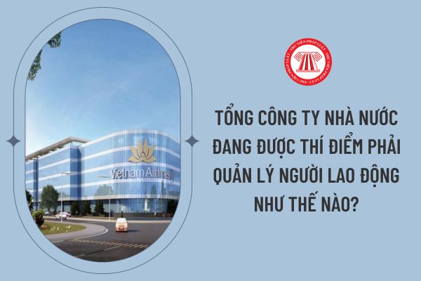 Tổng công ty nhà nước đang được thí điểm phải quản lý người lao động như thế nào?