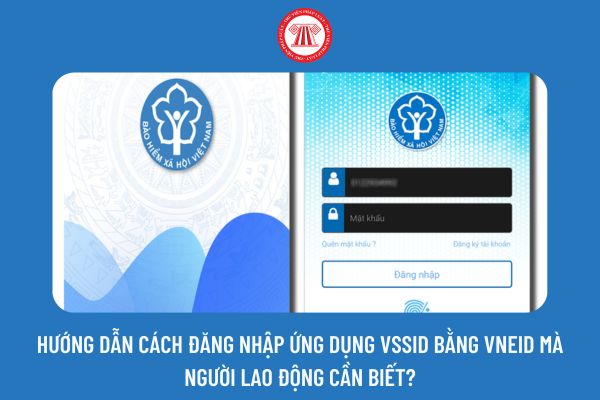Hướng dẫn cách đăng nhập ứng dụng VssID bằng VNeID mà người lao động cần biết?