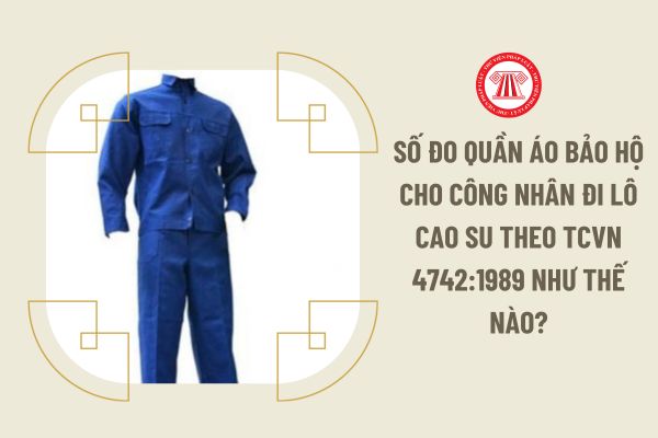 Số đo quần áo bảo hộ cho công nhân đi lô cao su theo TCVN 4742:1989 như thế nào?