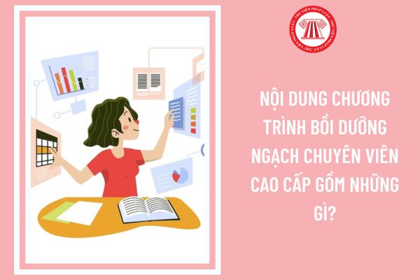 Nội dung chương trình bồi dưỡng ngạch chuyên viên cao cấp gồm những gì?