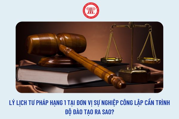 Lý lịch tư pháp hạng 1 tại đơn vị sự nghiệp công lập cần trình độ đào tạo ra sao?