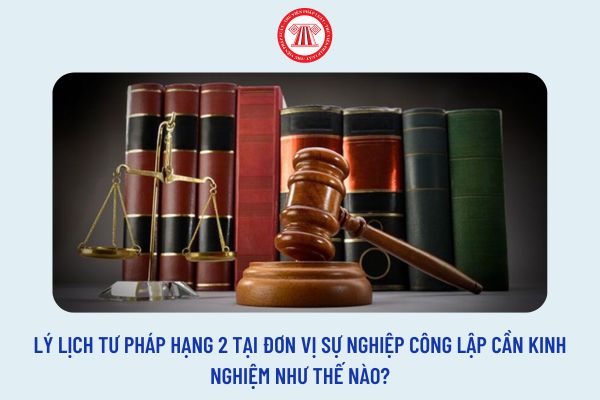 Lý lịch tư pháp hạng 2 tại đơn vị sự nghiệp công lập cần kinh nghiệm như thế nào?