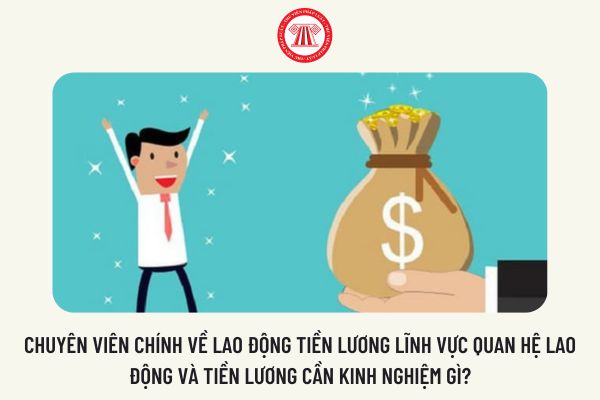 Chuyên viên chính về lao động tiền lương lĩnh vực quan hệ lao động và tiền lương cần kinh nghiệm gì?