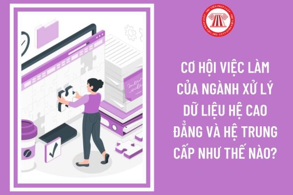 Cơ hội việc làm của ngành xử lý dữ liệu hệ cao đẳng và hệ trung cấp như thế nào?